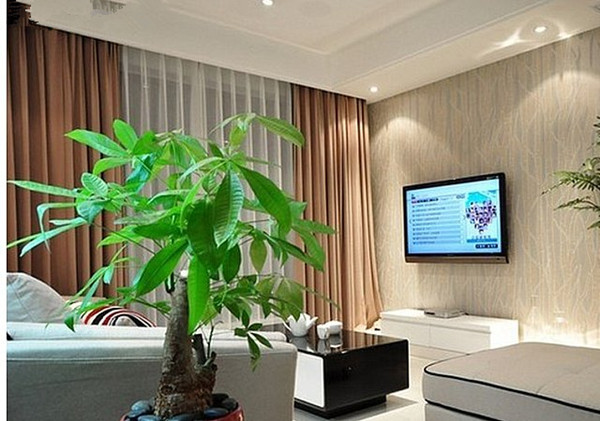 客厅适合放什么植物好风水_客厅放什么植物好养_客厅放植物风水