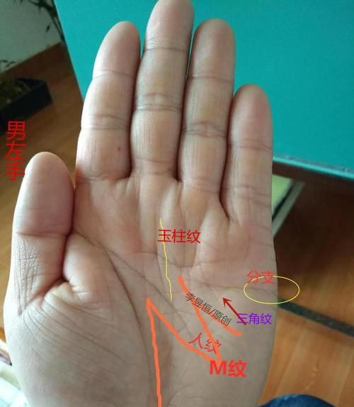 断手纹图解,假断掌和真断掌的区别方法看手相图2