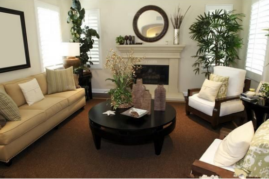 客厅植物风水_客厅风水植物有哪些_客厅植物选什么好风水