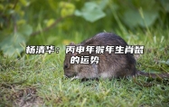 杨清华：丙申年猴年生肖鼠的运势