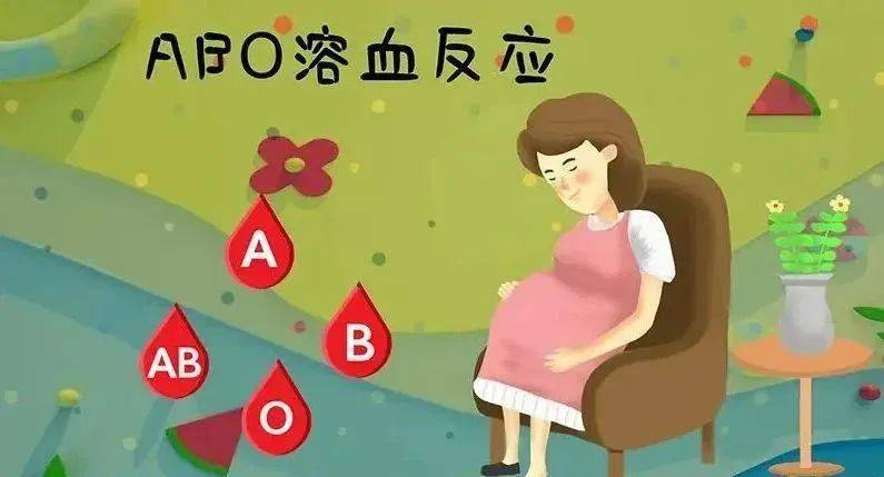 孕妇o型血和什么血型容易溶血_哪两种血型容易溶血_什么血型配对会溶血