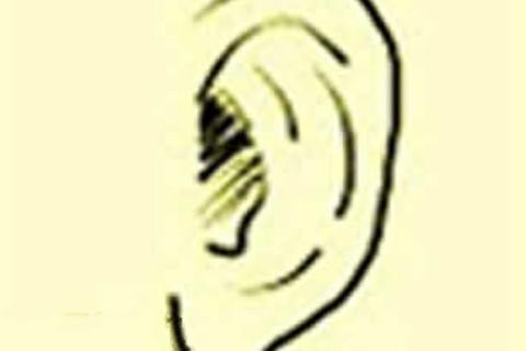 相学男人耳朵小代表什么意思_男人耳朵小说明什么_耳朵小的男人婚姻面相