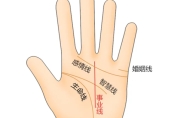 女人左手纹线图解大全 女人左手手掌纹代表什么意思